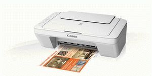 ремонт принтера CANON PIXMA MG2940