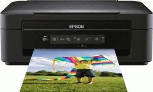 ремонт принтера EPSON EXPRESSION HOME XP-205